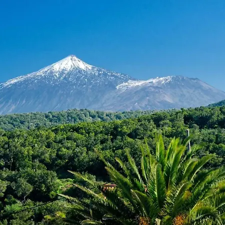 Villa A Luxurious On The Island Of Tenerife
